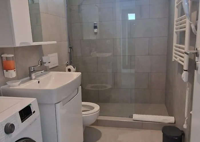 Icomfort מלון טימישוארה